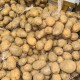Картофель свежий урожай 3 кг/сетка(опт 73 руб/кг) Картофель свежий урожай 3 кг/сетка(опт 73 руб/кг)