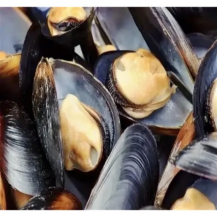 Мидии в раковине 50-80 шт с/м 1кг/уп(опт 647 руб/уп)