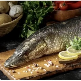 Щука фаршированная см заказ от 1,5кг(опт 757 руб/кг)