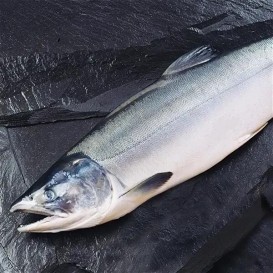 Горбуша нпсг СВЕЖИЙ улов фасовка 1кг(опт 494/469 руб/кг)