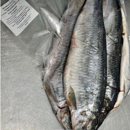 Сельдь Олюторская фасовка 1кг