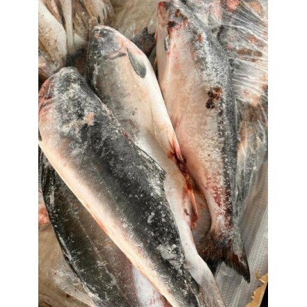 Горбуша нпсг СВЕЖИЙ улов фасовка 1кг(опт 494/469 руб/кг)