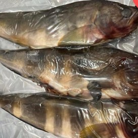 Терпуг 400-600 гр с/м ФАСОВКА 1кг 