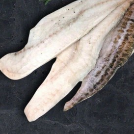 Филе минтая ШТУЧНОЙ ЗАМ.от 1кг(опт 416 руб/кг)