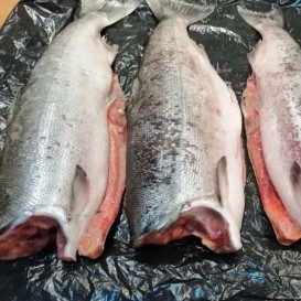 Кета с/м пбг штучная зам.от 2 кг(опт 926/880 руб/кг)