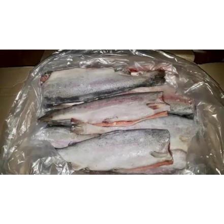 Форель ПБГ с/м ПРЕМИУМ  от 2 кг(опт 1228 руб/кг)