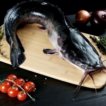 Сом с/м 2 кг(опт 280/266 руб/кг)