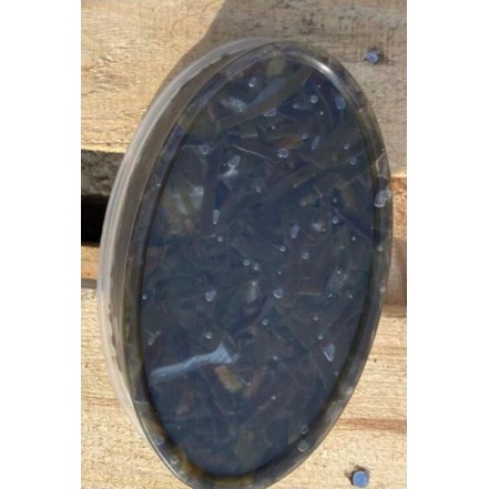 Салат из морской капусты 400 гр(опт 124 руб/уп)