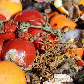 БЛОК 7 кг Для животных ! Овощи и фрукты 