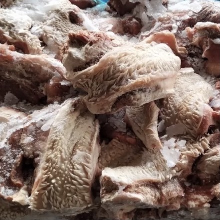 БЛОК 20 кг Губы говяжьи не обработанные с/м 