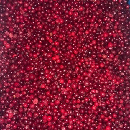 Брусника с/м(опт 504/478 руб/кг)