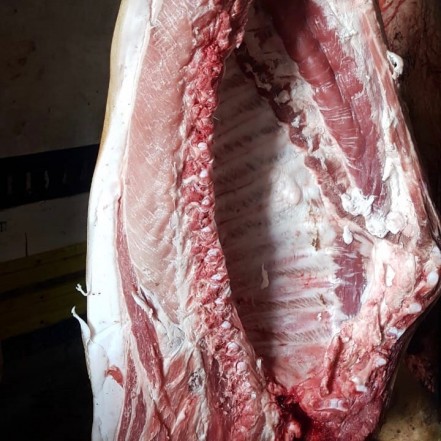 Доступно с 18.11 Свинина половина туши ОХЛАЖДЁННАЯ от 50 кг